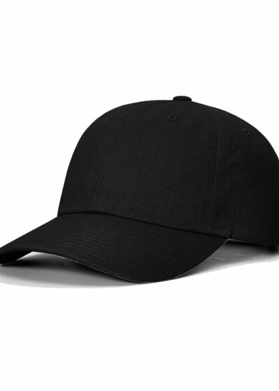 Sustainable Ashland Dad Hat Thumbnail