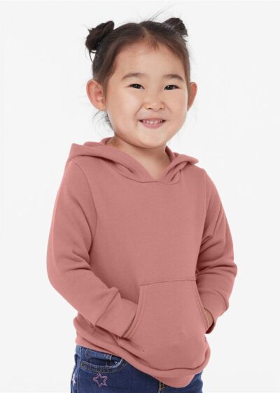 Toddler Sponge Fleece Pullover Hoodie Thumbnail